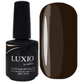 Luxio - Aficionado